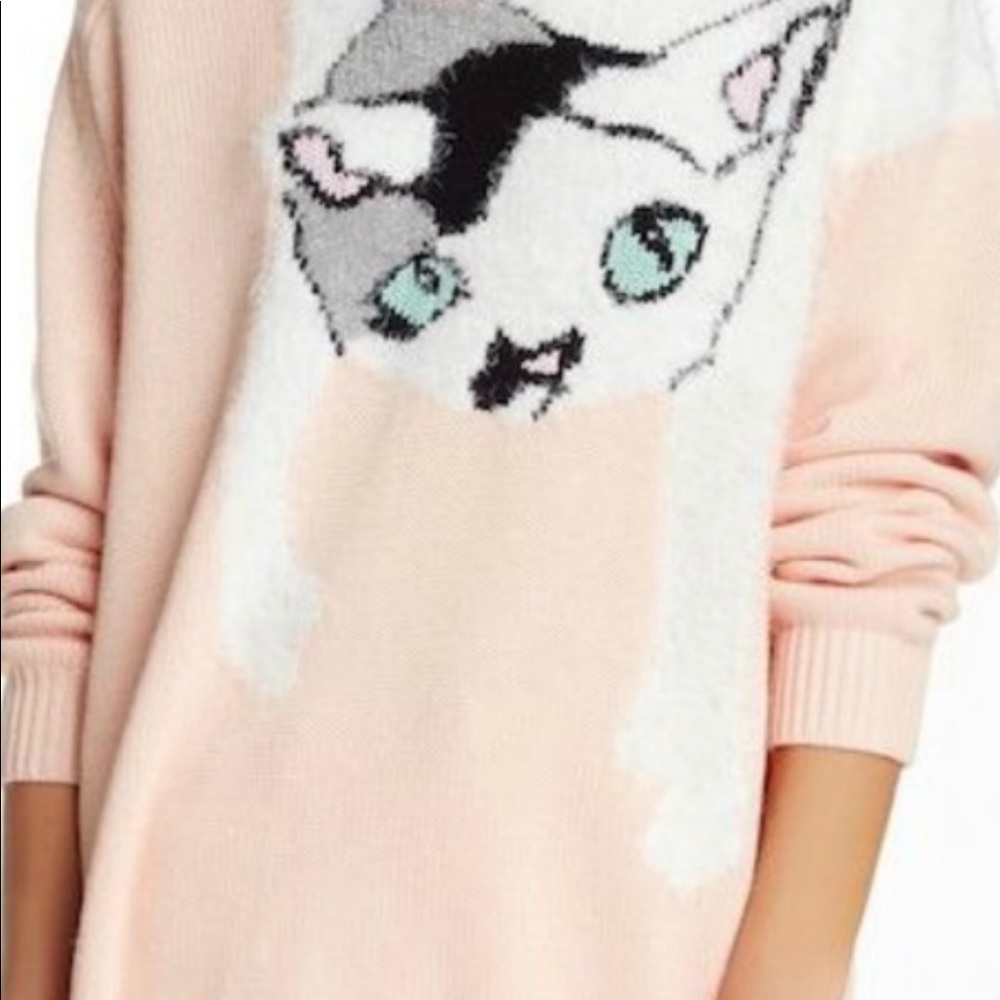 Wild Fox sweater.. New with tags.